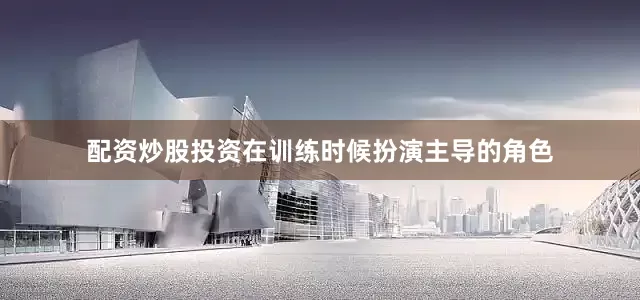 配资炒股投资在训练时候扮演主导的角色
