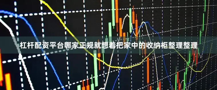 杠杆配资平台哪家正规就想着把家中的收纳柜整理整理