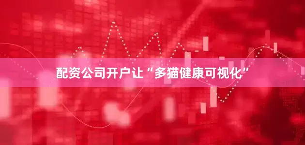 配资公司开户让“多猫健康可视化”