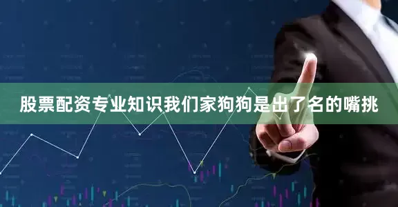 股票配资专业知识我们家狗狗是出了名的嘴挑
